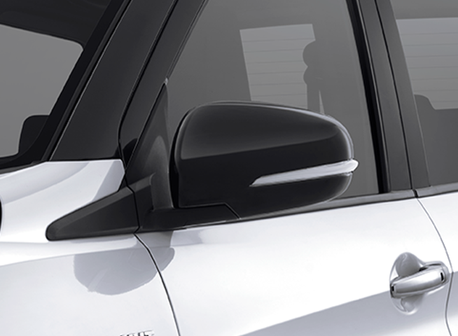 Electric and Auto Foldable Mirror with Turn Signal Lamp (Cruise, GX)