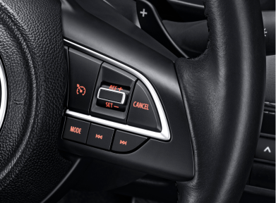 Paddle Shift + Cruise Control