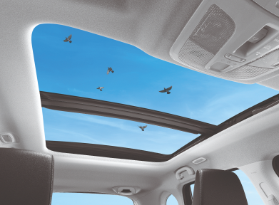 Panoramic Sunroof