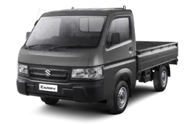 New Carry WD AC/PS - ZDL