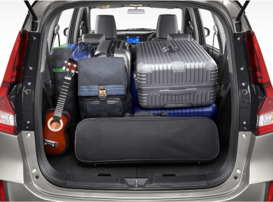 Extra Spacious Luggage (803 Liter)