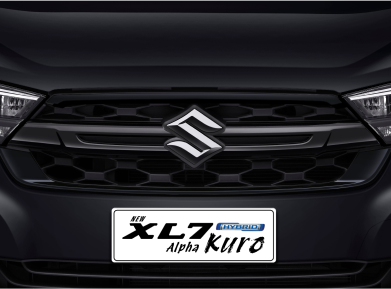 Front Grille Black Paint (Kuro, Alpha, & Beta Only)