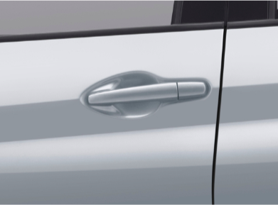 Outside Door Handle Body Color (Zeta Only)