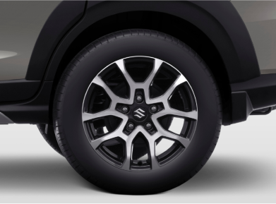 Polished Alloy (Zeta Only)